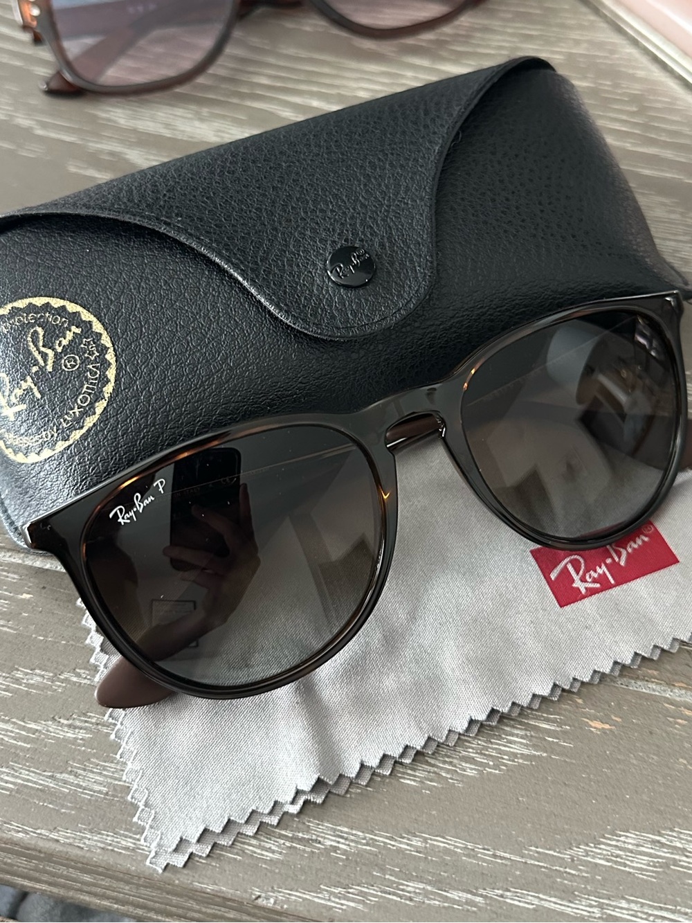Ray Ban Polarized Erika Classic Sunglasses